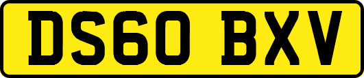 DS60BXV