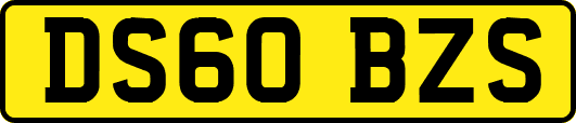 DS60BZS