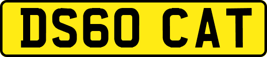 DS60CAT