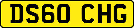 DS60CHG