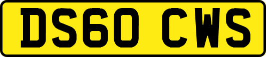 DS60CWS