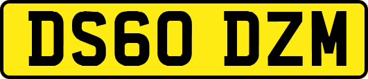 DS60DZM