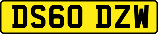 DS60DZW