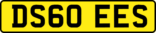 DS60EES