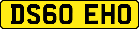 DS60EHO