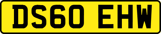 DS60EHW