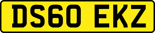 DS60EKZ