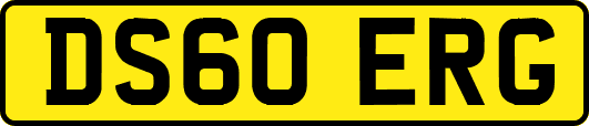 DS60ERG
