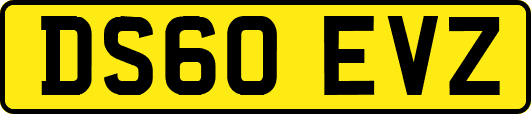 DS60EVZ