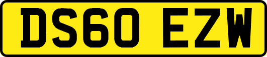 DS60EZW