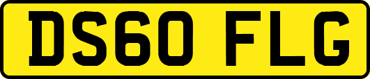 DS60FLG