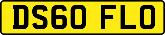 DS60FLO