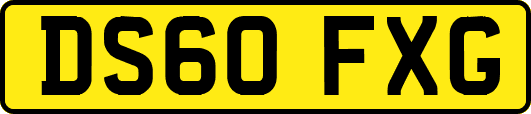 DS60FXG