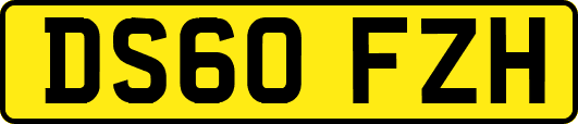 DS60FZH