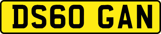 DS60GAN