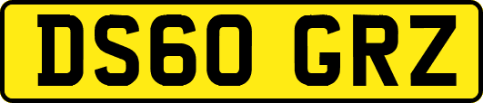 DS60GRZ