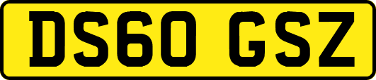 DS60GSZ