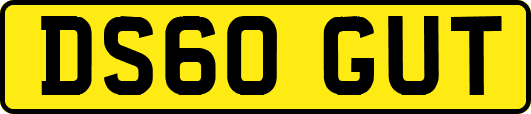 DS60GUT