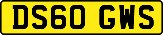 DS60GWS