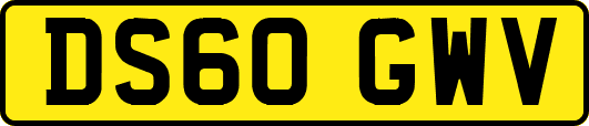 DS60GWV