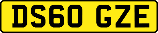 DS60GZE