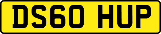 DS60HUP