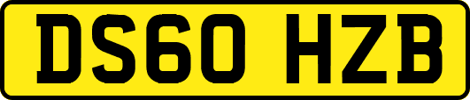 DS60HZB