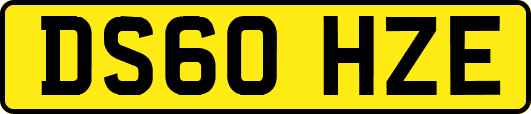 DS60HZE