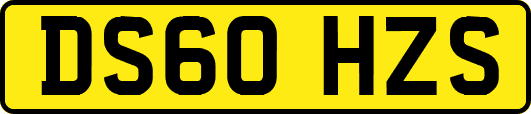 DS60HZS
