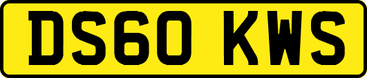 DS60KWS