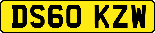 DS60KZW