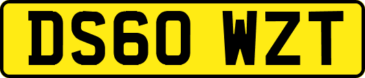 DS60WZT