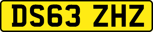 DS63ZHZ