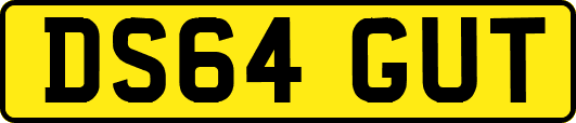 DS64GUT