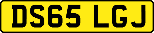 DS65LGJ