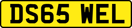 DS65WEL