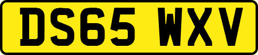 DS65WXV