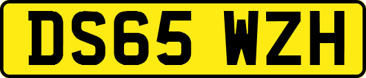 DS65WZH