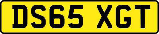 DS65XGT