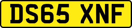 DS65XNF
