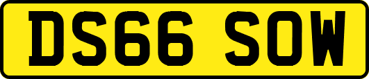 DS66SOW