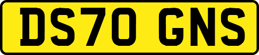 DS70GNS
