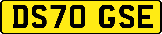 DS70GSE