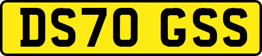 DS70GSS