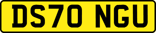 DS70NGU