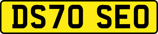 DS70SEO