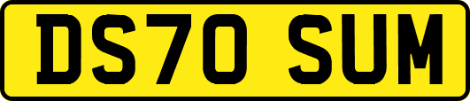 DS70SUM