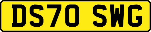 DS70SWG