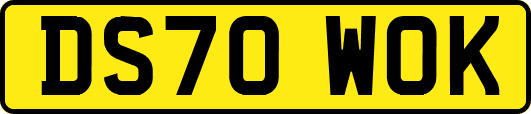 DS70WOK