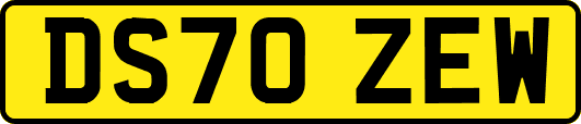 DS70ZEW